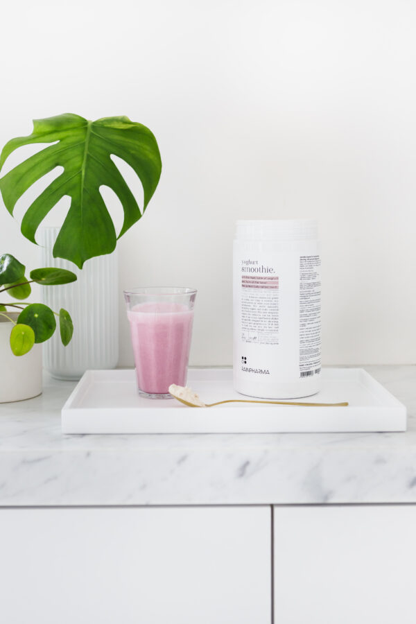 Yoghurt Smoothie 510g